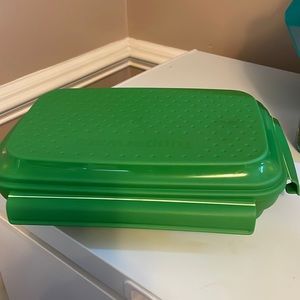 Tupperware container green